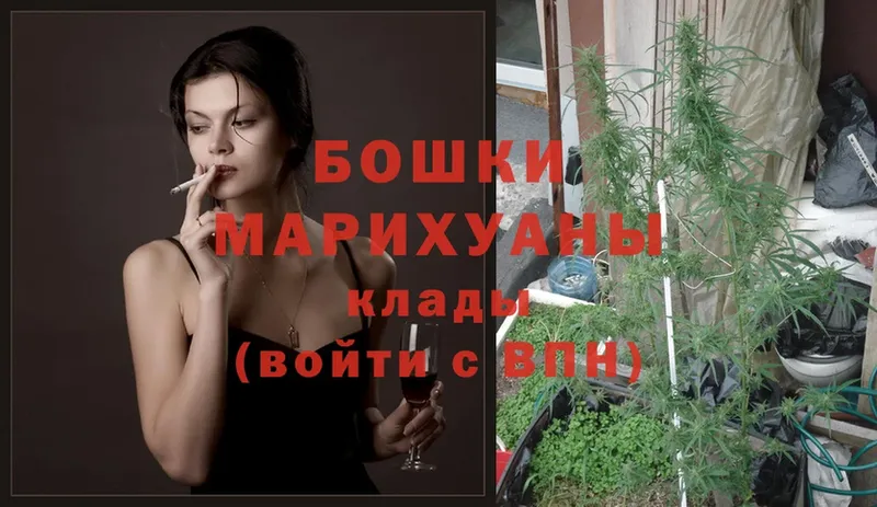 Бошки марихуана OG Kush  OMG tor  Дно 